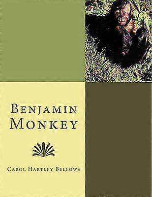 Benjamin majom