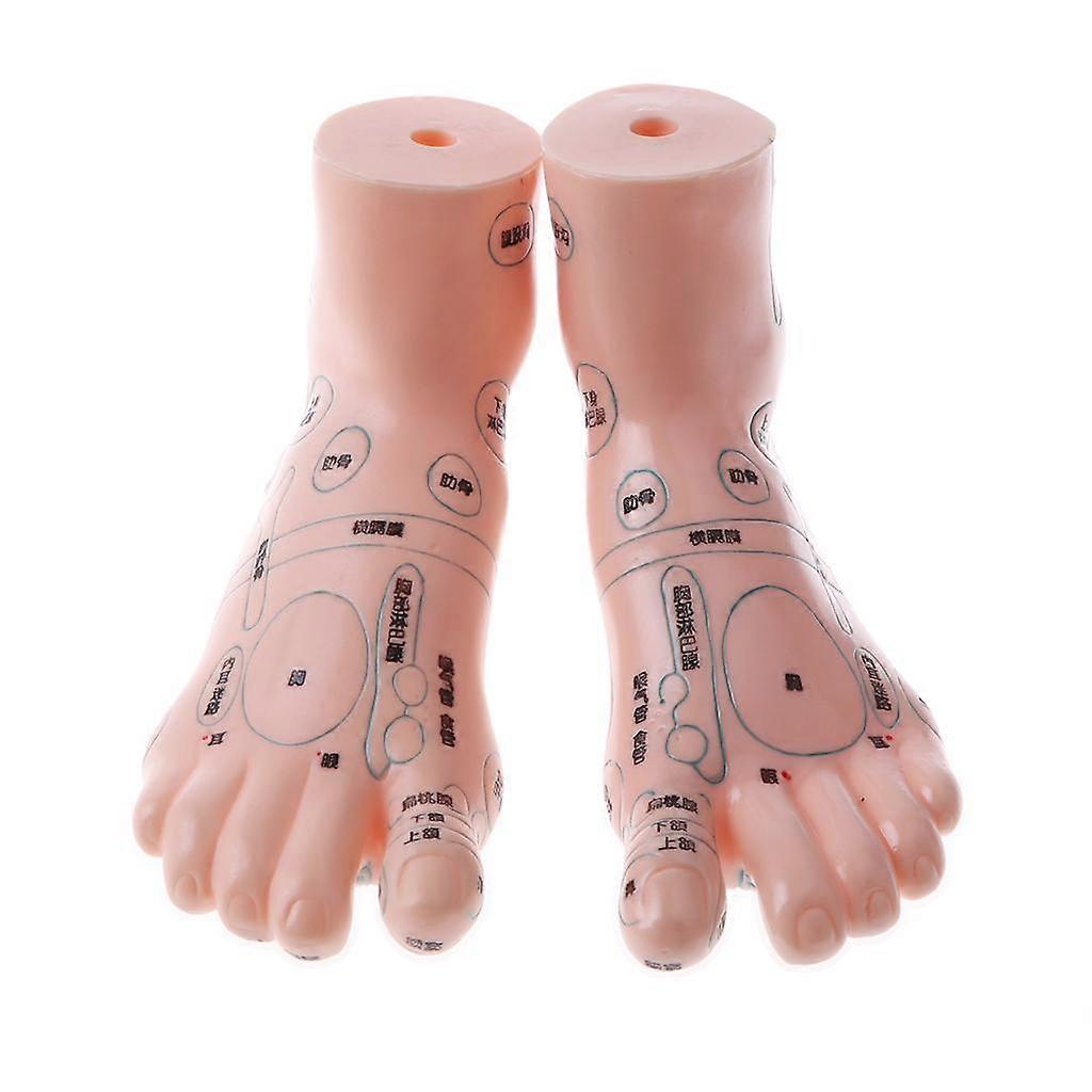 19cm Message Acupuncture Feet Model Reflexology Acupoint Study