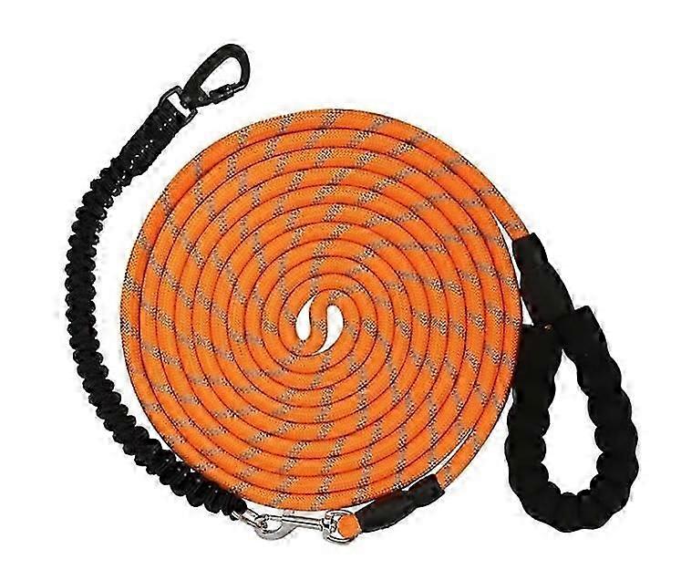 1.5m Dog Leash Heavy Duty Leash with Locking Swivel Hook and Reflective Threads Bungee Dog Leash Comfortable Padded Handle for Walking for Small Medi