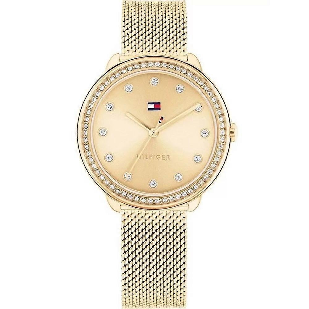 Watch Tommy Hilfiger ty556240