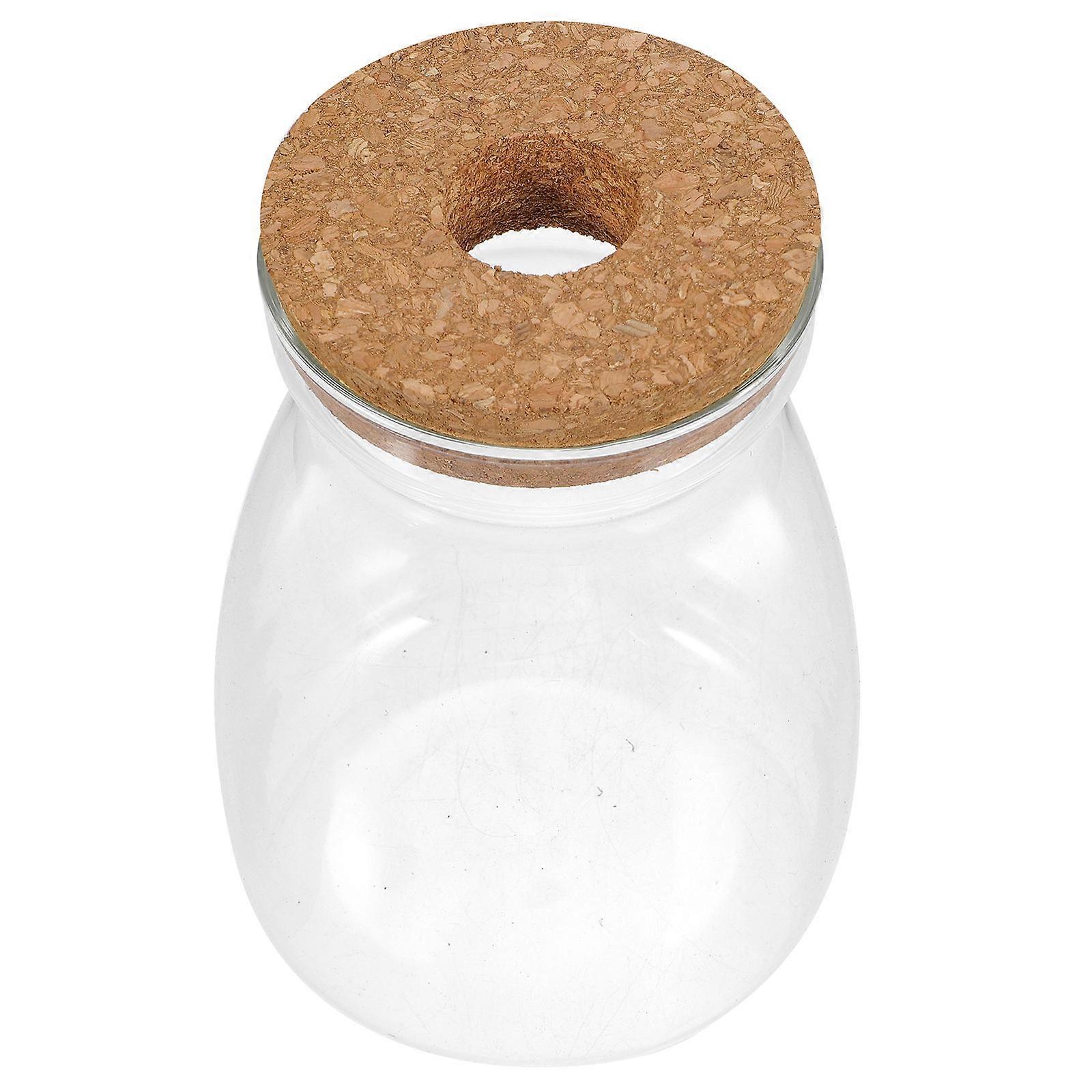 Glass Terrarium Jar Terrarium Container for Ecosystem Use 5Pcs Transparent Pack
