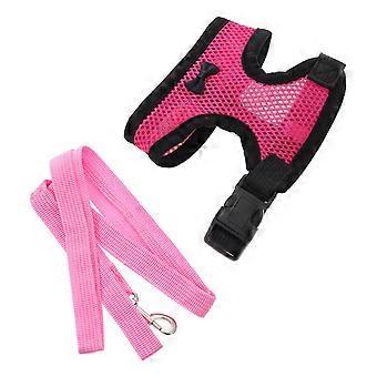 Outdoor Chicken Harness with Leash for Hen Vest Use 2Pcs Training Set