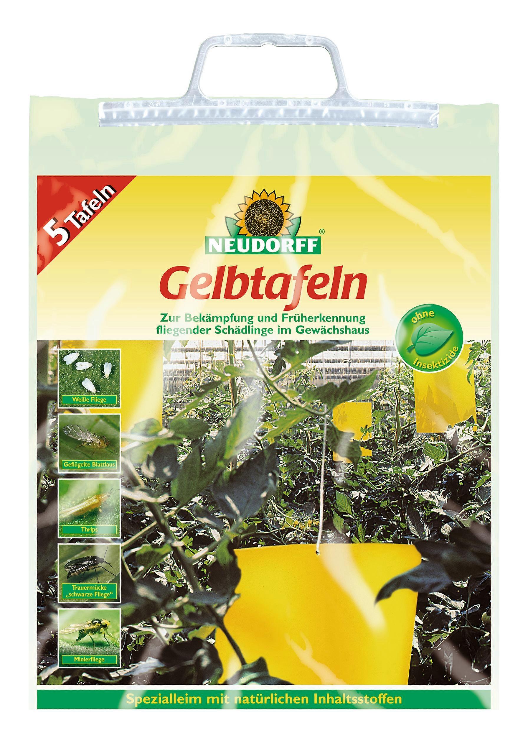 NEUDORFF Yellow plates (large-format), 5 pieces