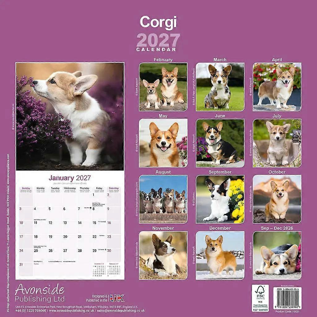 Red Robin Red Robin Welsh Corgi Calendar 2026