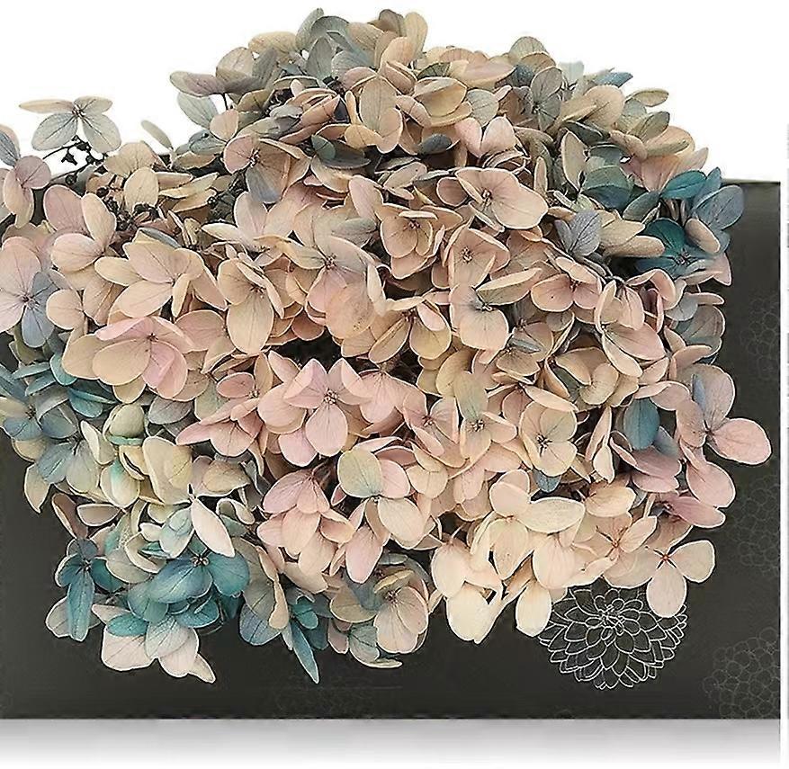 20g/lotFargegradient tre Hydrangeaimmortal tørkede blomsterblader dekorative bryllup Fest jul fotoramme harpiks kunst