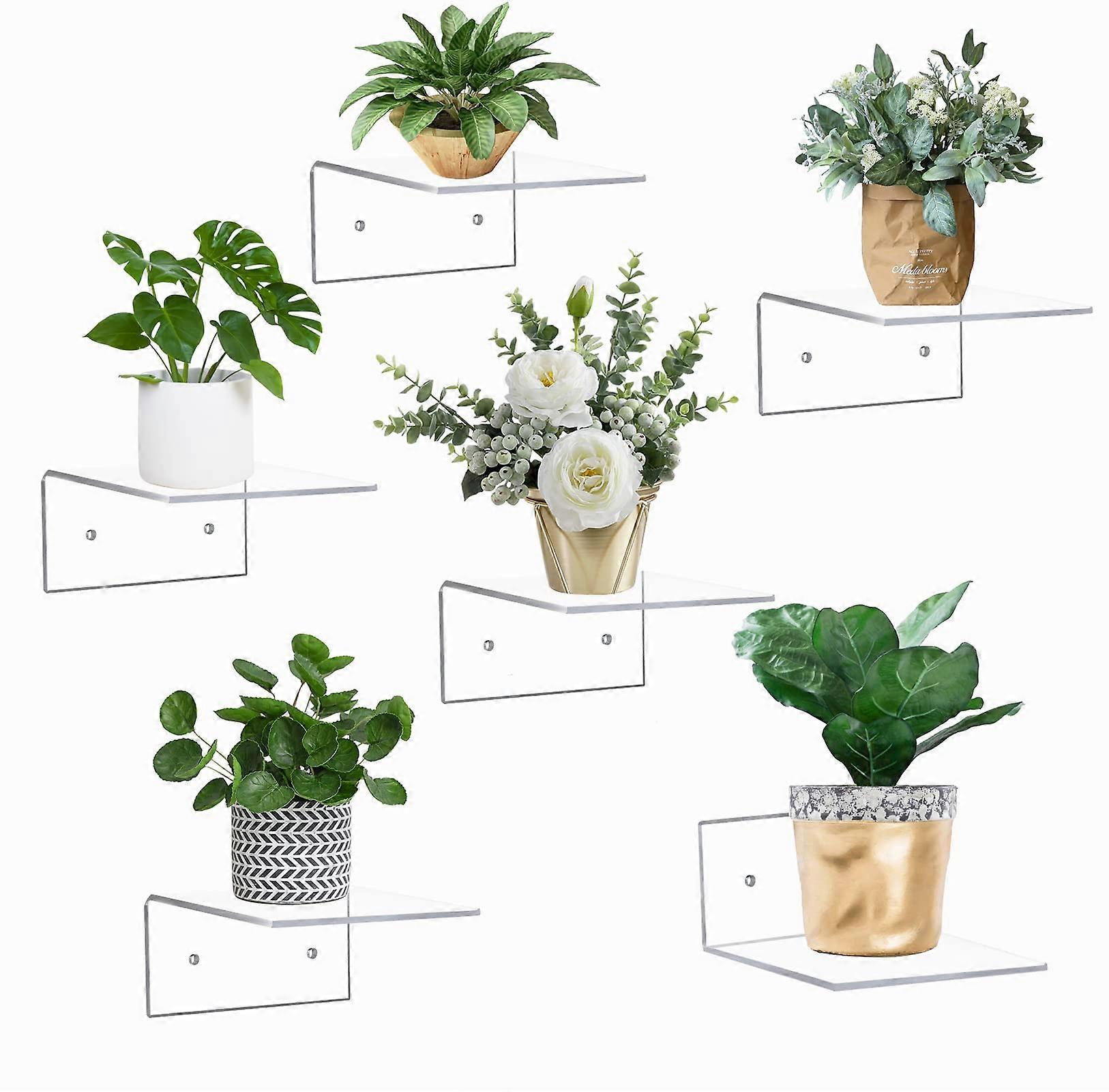 Case Pack of Clear Acrylic Floating Shelves for Plants and Collectibles