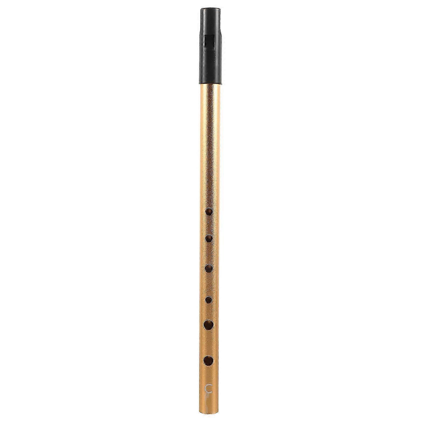 Irish Whistle Key of C Whistle Children Whistle Kids Music Instrument for Practice Performance