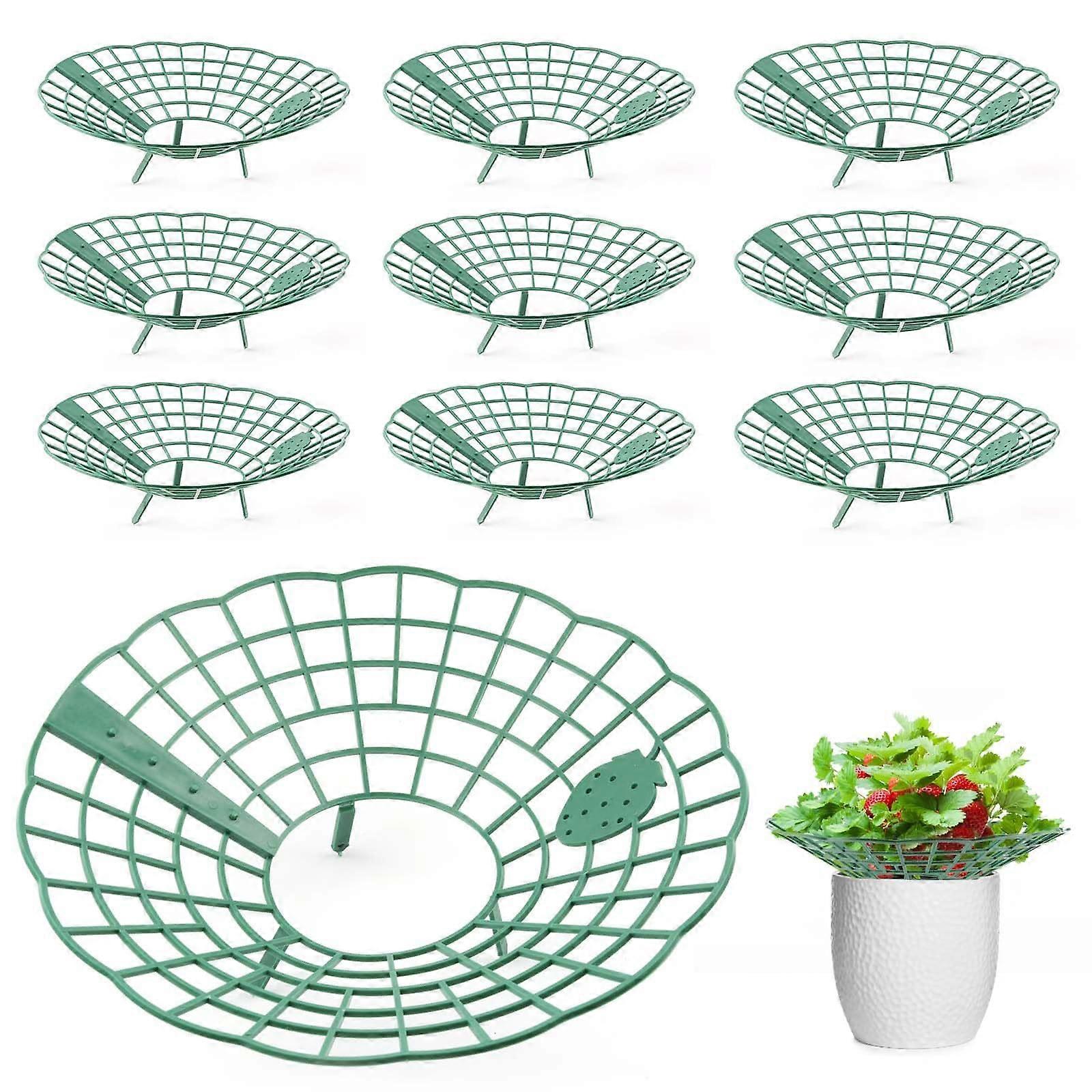 Strawberry Support Stand with Adjustable Plastic Rippers, Pack of 10, Strawberry Rack for Fruit Protection Against Rot and Mould