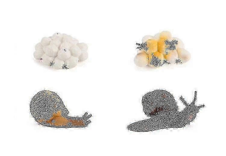 Miniature Snail Figurines Set, Toy Creatures Models