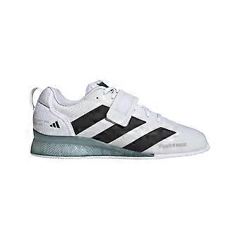 Schoenen Adidas IH8233