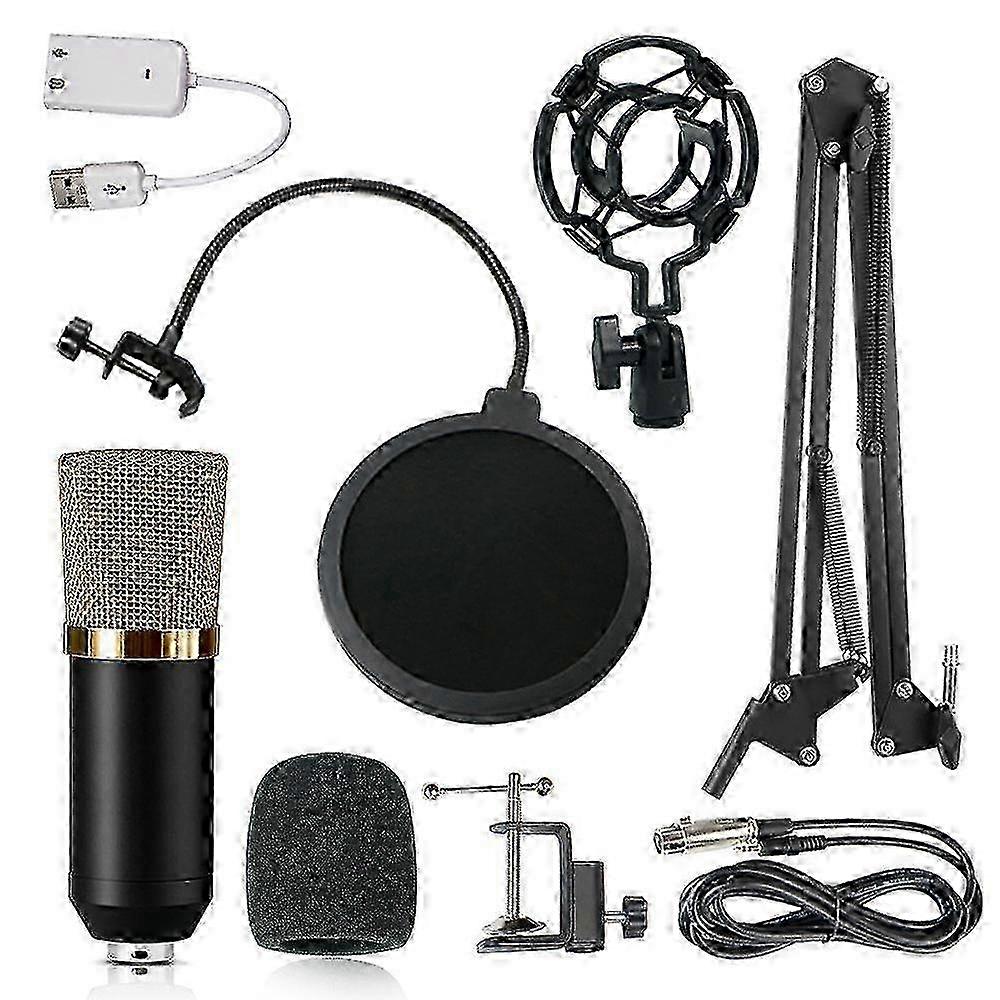 Professional BM700 Condenser Microphone Sound Recording Mic KTV Singing Studio Recording 2025