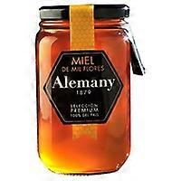 Eco Poliflora Honey 500 g