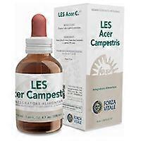 Les acer campestris circulation 50 ml