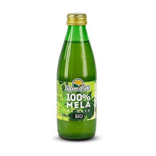 100% Apple Juice 250 ml (Apple)