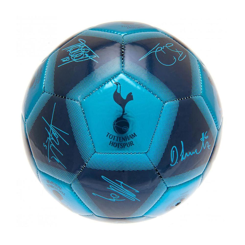 Tottenham Hotspur Fc Skill Ball Signature