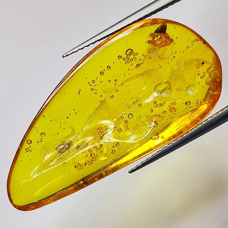 8.58ct Baltic Amber With Insect Cabochon 34.2x16.1mm awo22