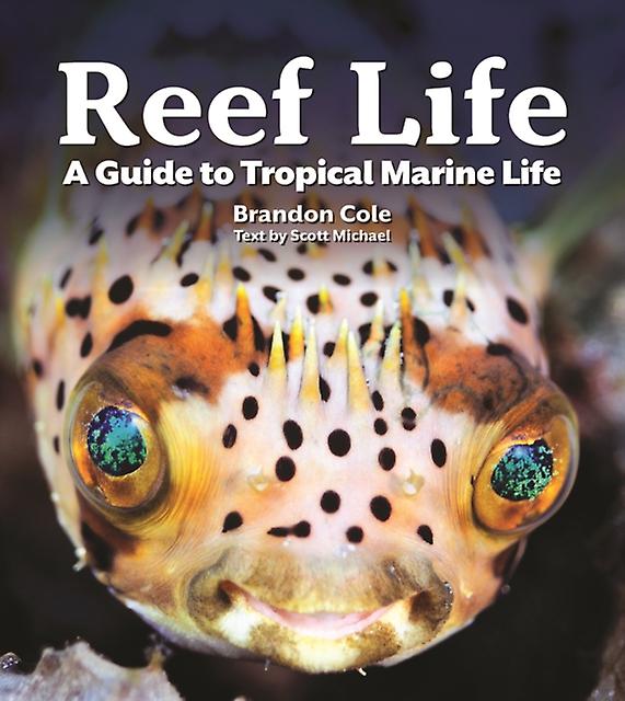 Reef Life by Michael Scott Paperback
