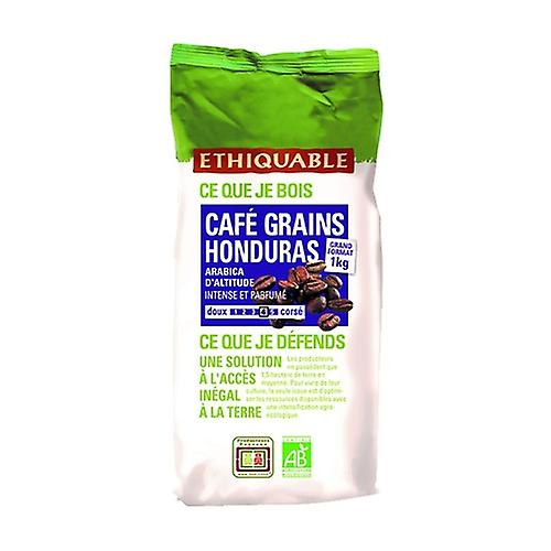 Premium coffee bean honduras marcala bio 1 kg