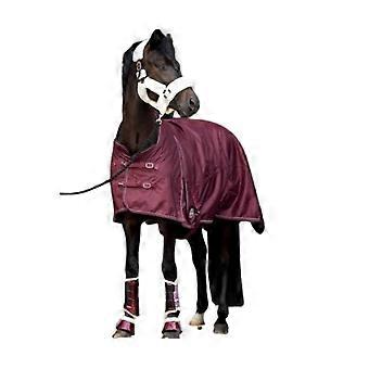 Showtime Winter Horse Blanket