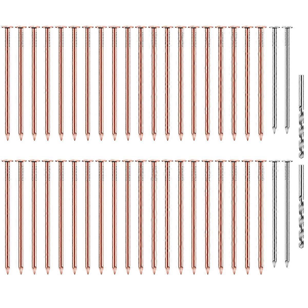 40 Pcs Copper Nails to Killing Trees,3.5 Inch Pure Copper Nails Bulk,Stump Removal Spikes Hardware