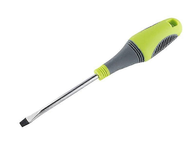 Plochý šroubovák SL6x100