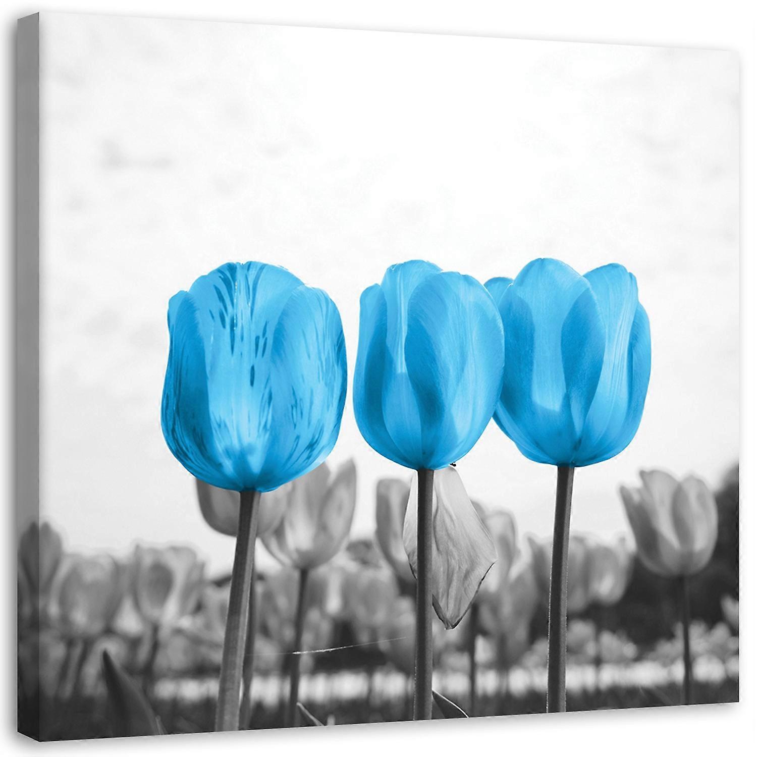 Obraz na plátně, Modré tulipány na louce - 30x30