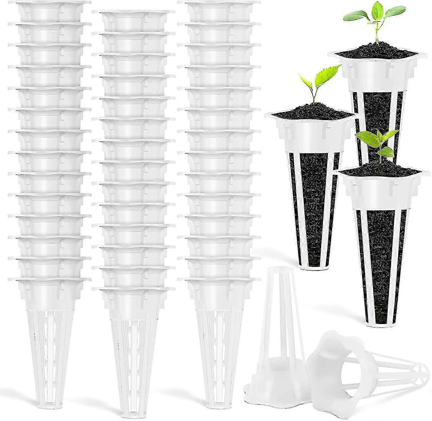 Sponge Growing Plant Basket