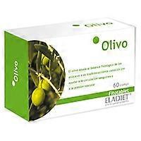 Olive 60 tablets