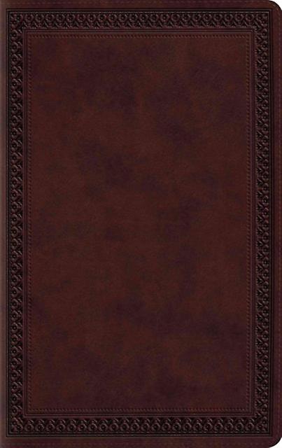 Esv Large Print Value Thinline Bible Leather  fine binding Book