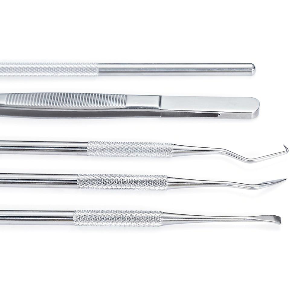 5pcs Stainless Steel Dental Tools Kit