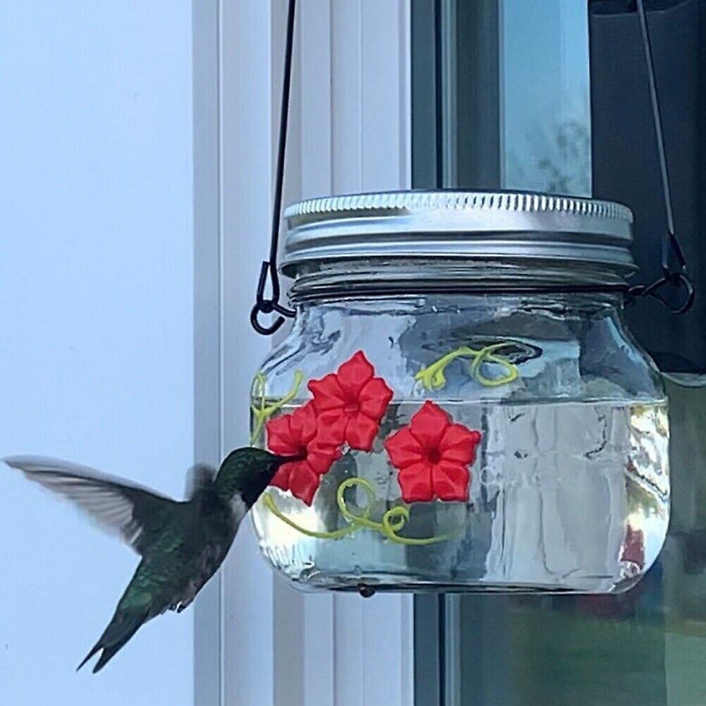 Hummingbird Feeder Upgrade Hummingbird Feeders for Outdoor Hanging
