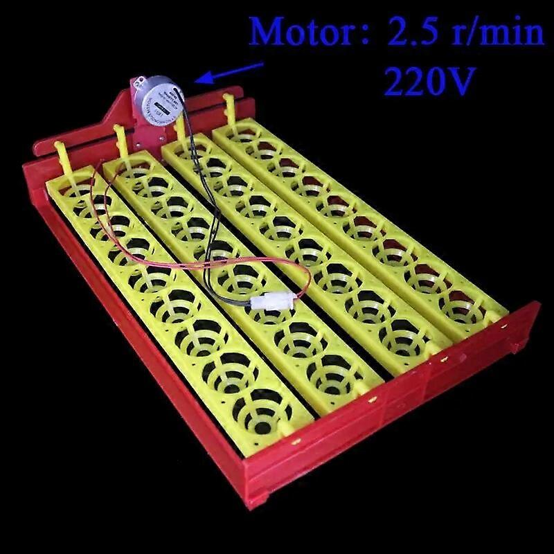 36 Eggs Automatic Incubator Automatic Rotating Egg Tray Experiment Teaching Equipment 4x9 Holes