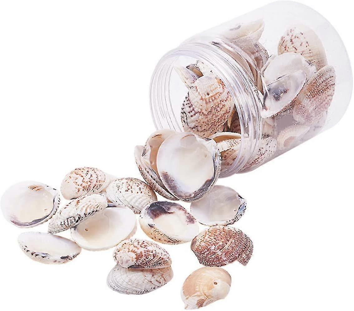 1 Box/50 Pcs Perforated Shell Aquarium Embellishments Diy Pendants