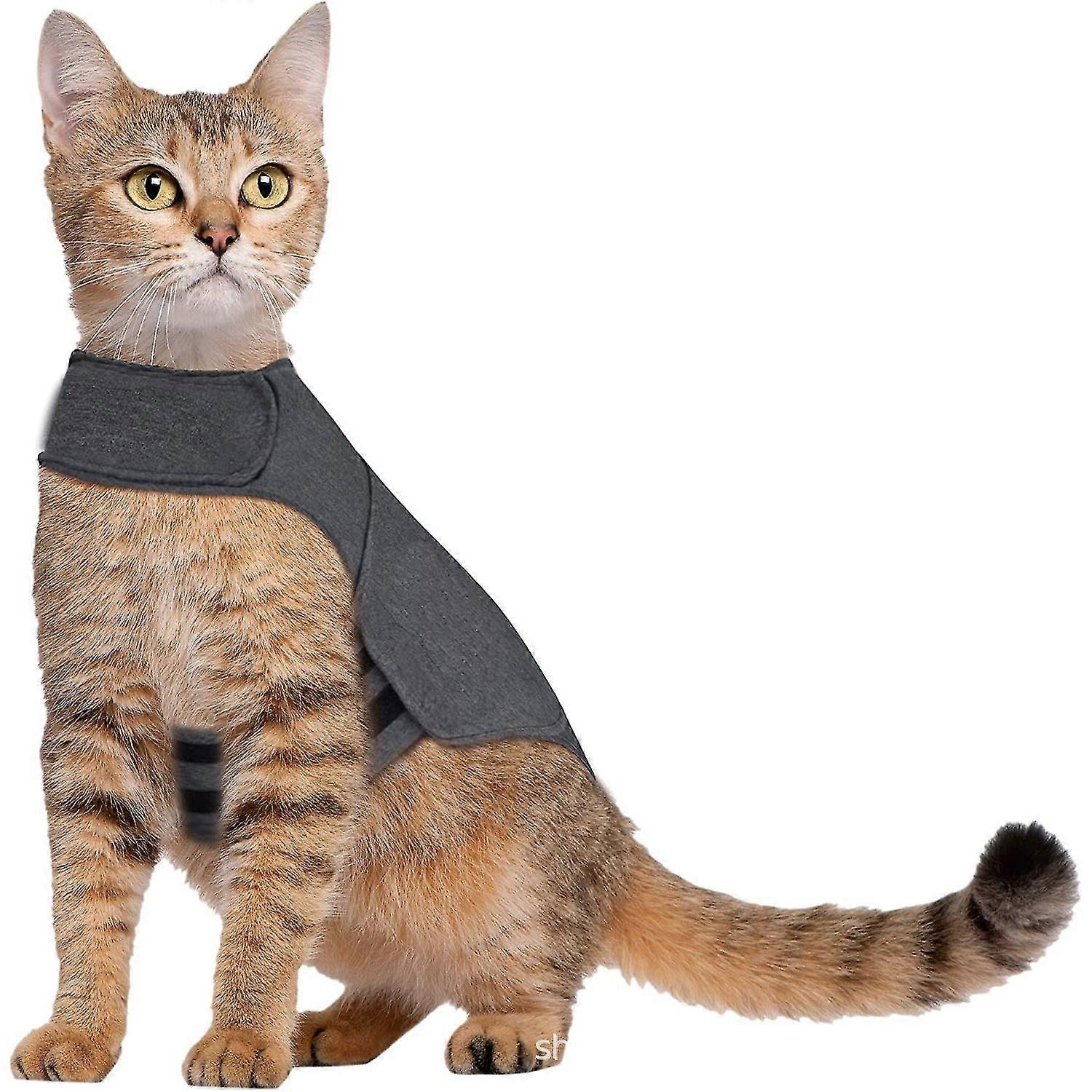 2 PCS Classic Cat Anxiety Jacket