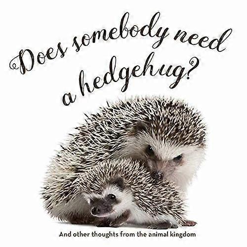 Does Somebody Need a Hedgehug?
