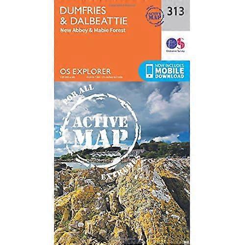 OS Explorer mapa activo (313) Dumfries y Dalbeattie (mapa activo OS Explorer)