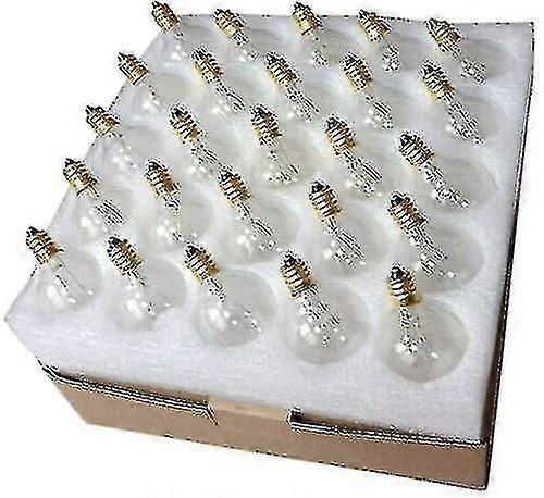 25 Pack E12 G40 LED Bulbs 7W for String Lights, Clear Globe Decorative Lighting
