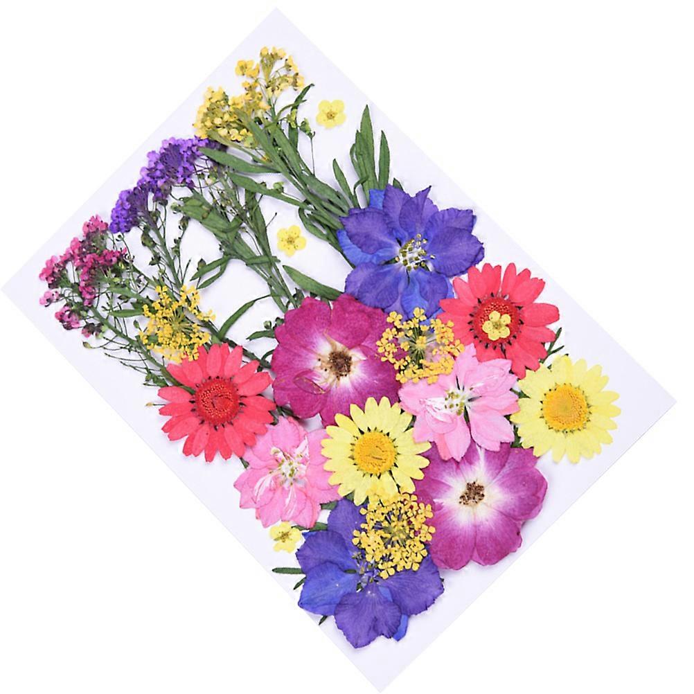Dried Flower Set Diy Craft For Flowers And Plastic Material 30Pcs