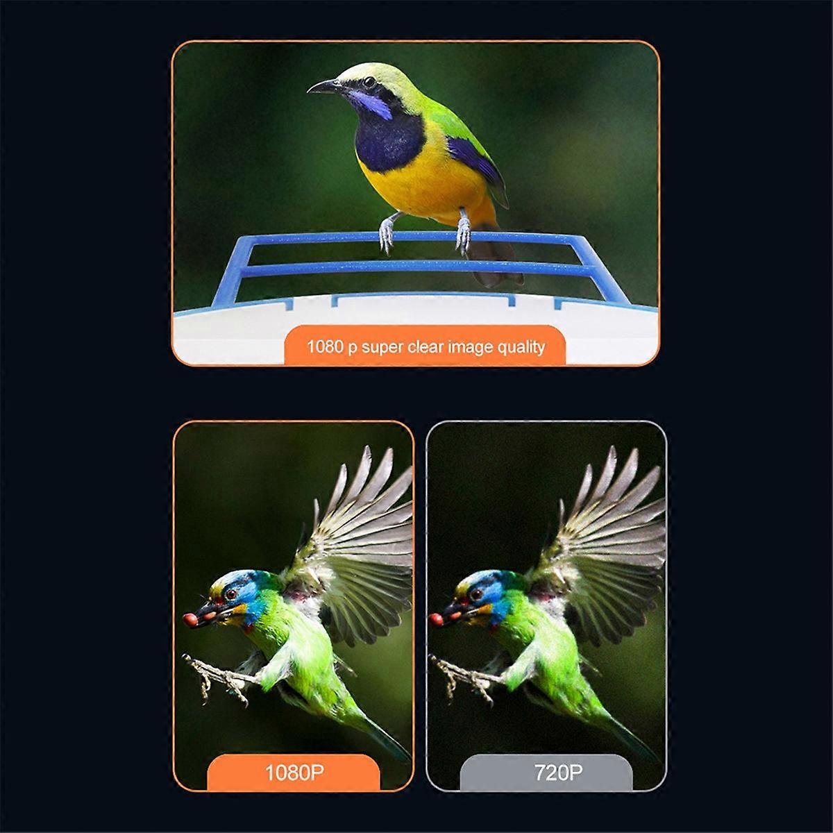 Smart Garden Bird Feeder with Sensor Camera, AI-Enabled Wildlife Monitoring, Enhanced Bird Watching Experience A