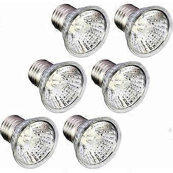Set di 6 lampadine UVA UVB per rettili, 75W, riscaldanti e ideali per tartarughe, lucertole e serpenti