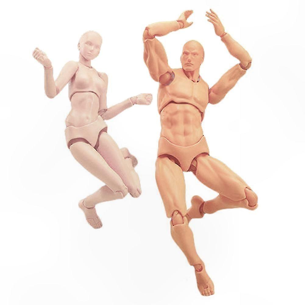 Posable Human Figure Models PVC Articulated Action Mannequins for Display and Gifts
