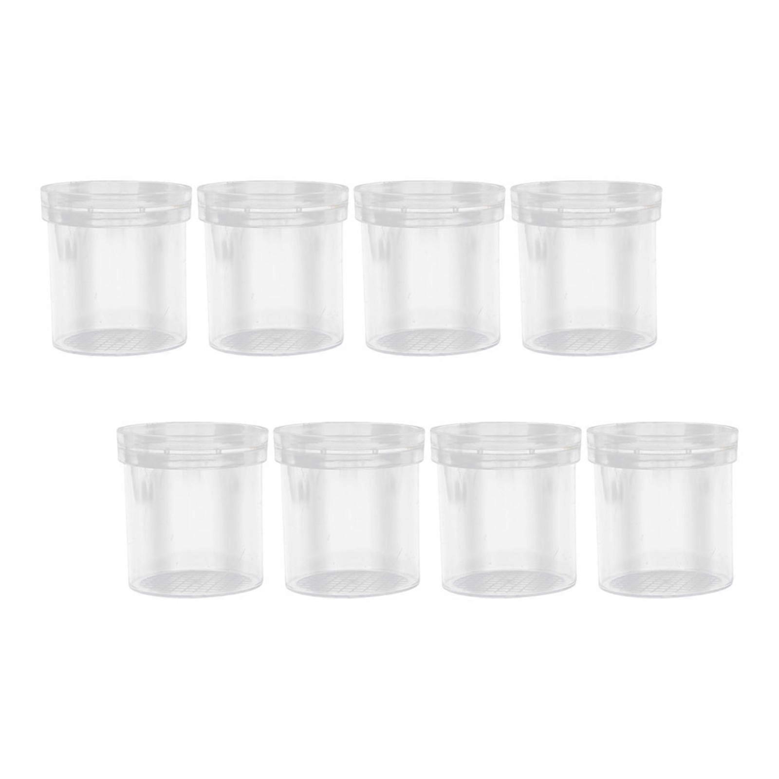 Bug Magnifier Container for Concentration Improvement 24Pcs Science Tool