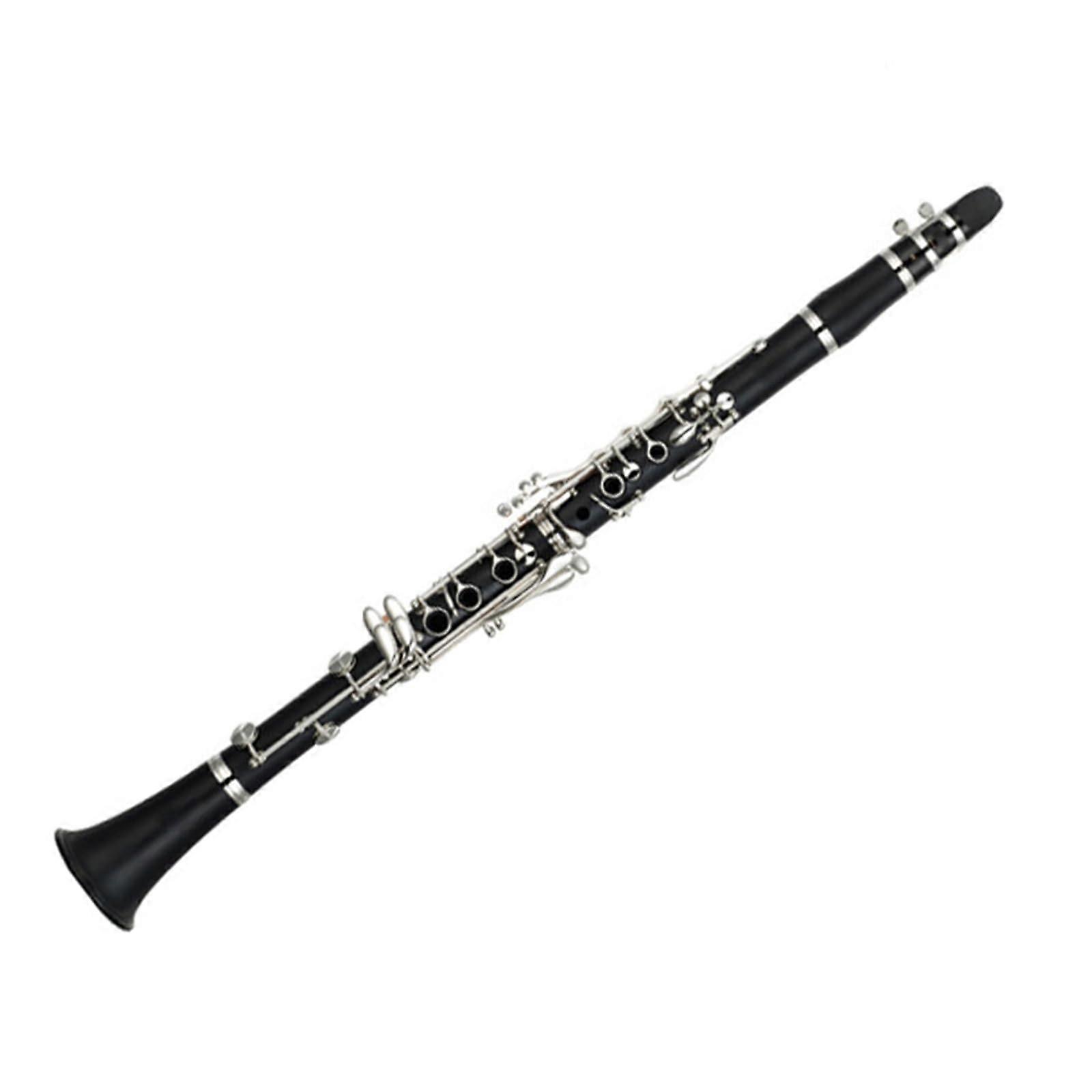 Beginner Clarinet with Case, Detachable Compact Design, Accurate Tone for Student and Professional