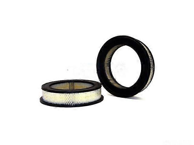 Engine Air Filter Replacement for 19581960 Ford Custom 300 Direct Fit Reliable Protection