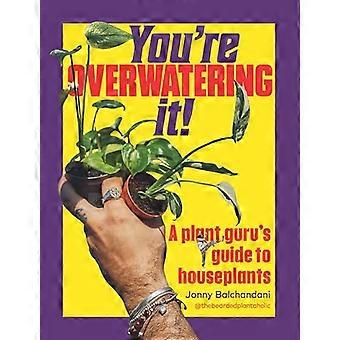 Youre Overwatering It A Plant Gurus Guide to Houseplants