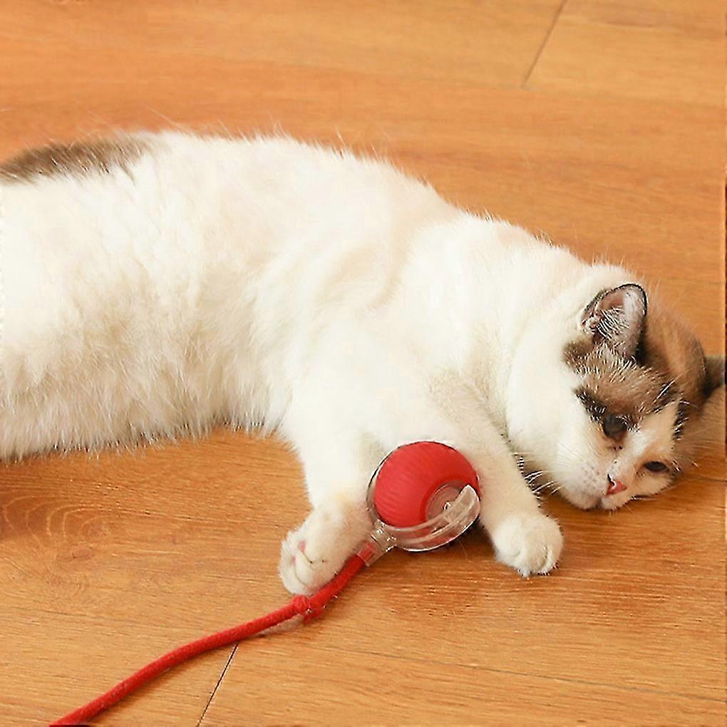 Touch-Activated Silent Pet Play Ball