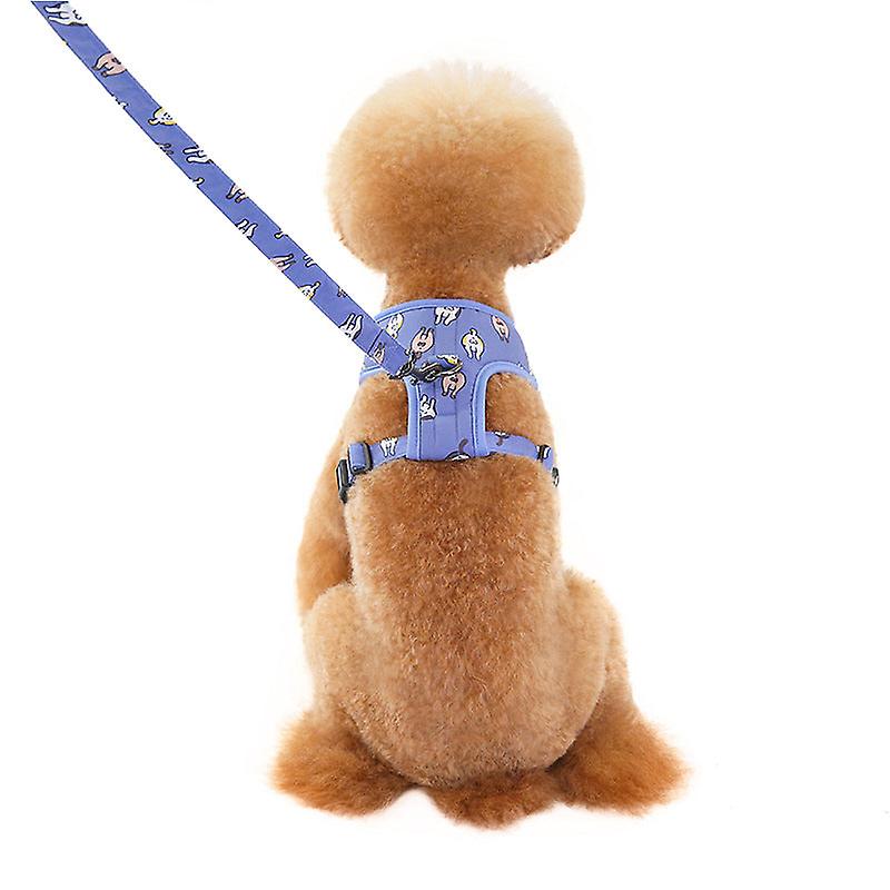 Pet Pet Rope Dog Leash Dog Cat Pet Hand Holding Rope Chest Strap Dog Leash Suit Flower Design Bucket Chest Strap