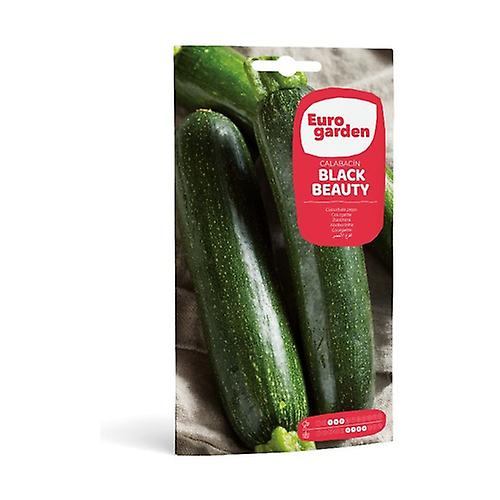 Black Beauty Zucchini Seeds 10 g