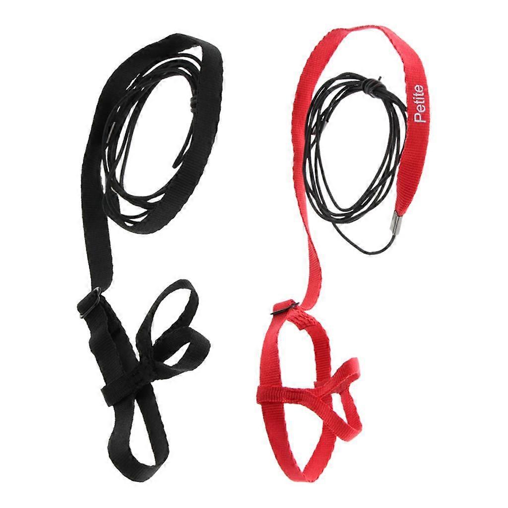 2 Pcs Adjustable Harness Leash for Parrot Flying - Bite Resistant Design, Black and Red