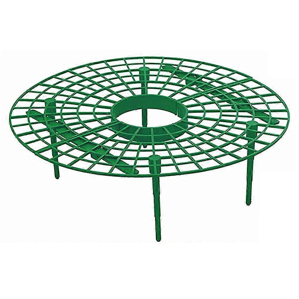 Strawberry Growing Support Practical Strawberry Rack Plant Climbing Vine Stand